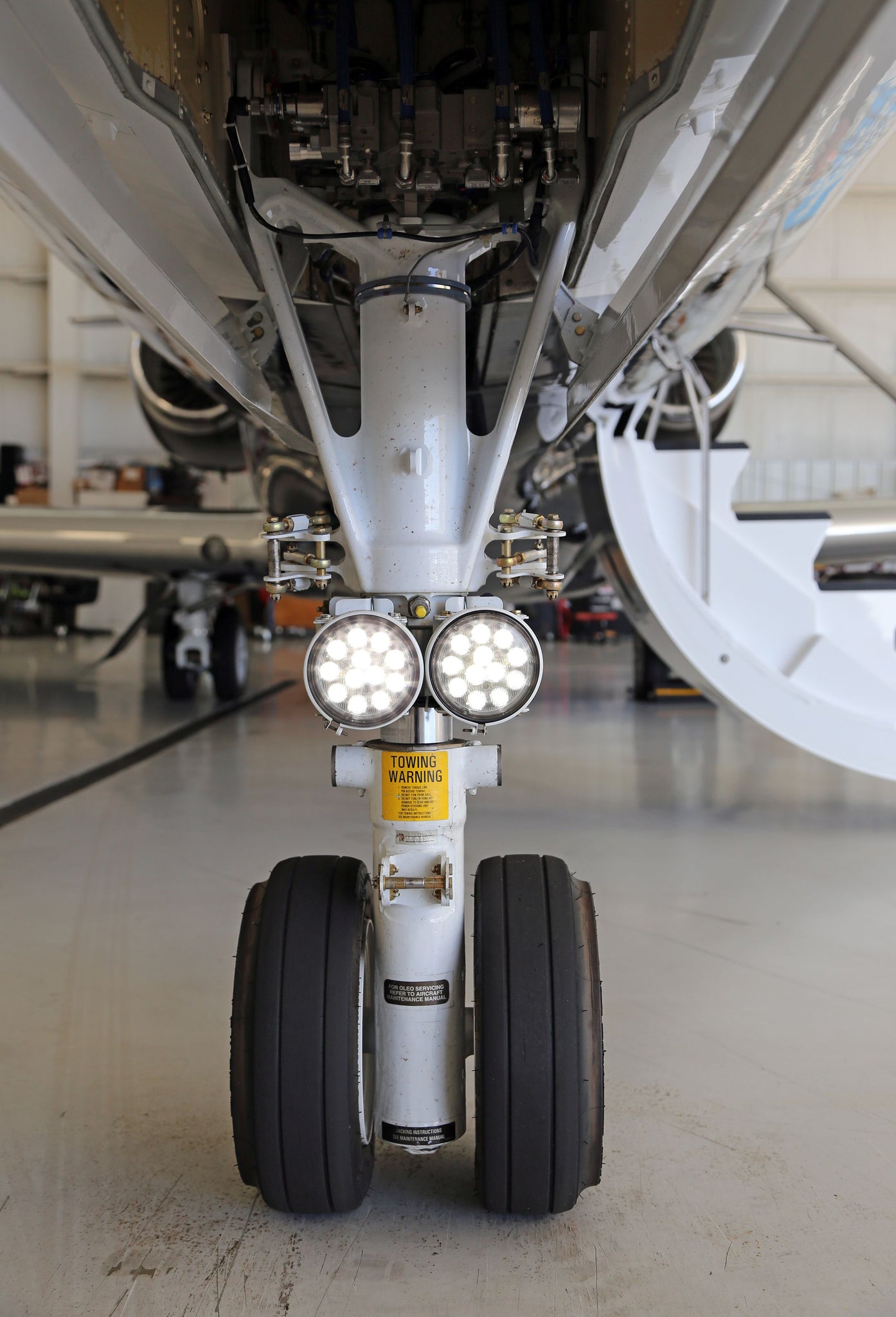 parmethis_nose-5_2048x2048.jpg